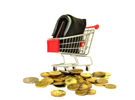Shopping Cart with Coins and Wallet