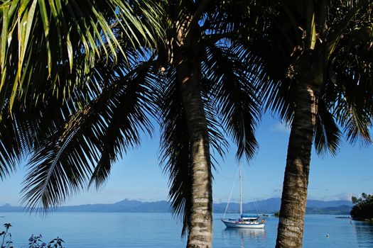 Savusavu harbor, Vanua Levu island, Fiji, South Pacific