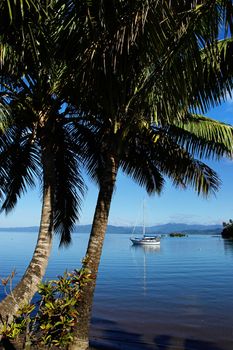 Savusavu harbor, Vanua Levu island, Fiji, South Pacific