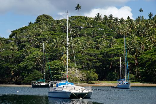 Sailboats at Savusavu harbor, Vanua Levu island, Fiji, South Pacific