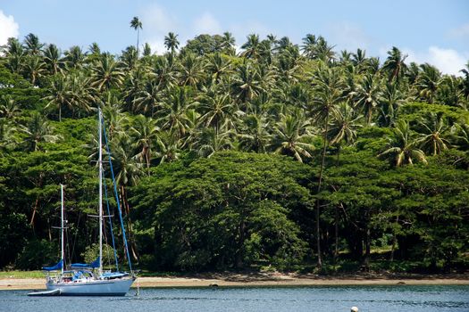 Sailboat at Savusavu harbor, Vanua Levu island, Fiji, South Pacific