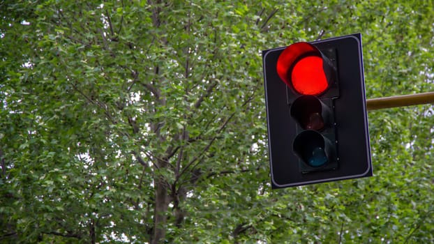 stop signal for all vehicles in the city