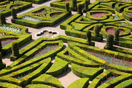 Gardens of the Chateau de Villandry, France