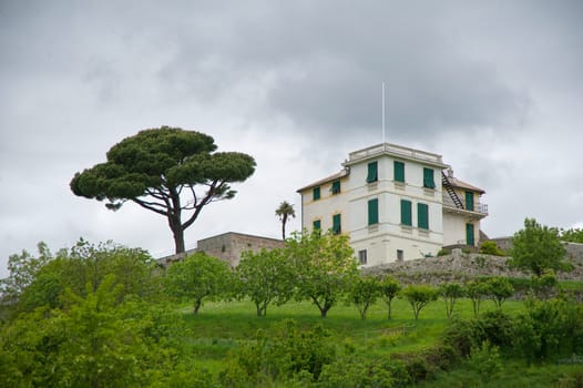 large country house surrounded by greenery