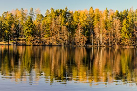 Beautiful reflections on an idyllic forest lake