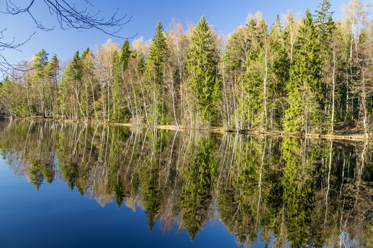 Calm forest lake with deep blue water and beautiful reflections