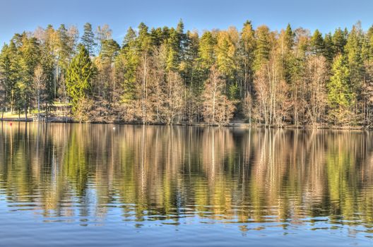 Beautiful reflections on an idyllic forest lake