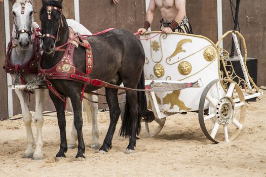 Games, Roman chariot in a fight of gladiators, bloody circus