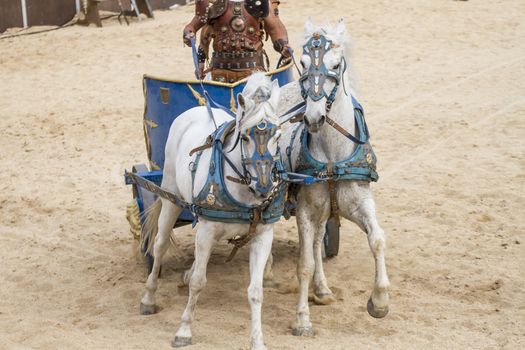 Roman chariot in a fight of gladiators, bloody circus