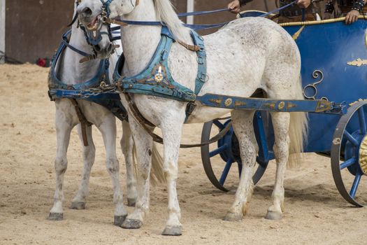 Roman chariot in a fight of gladiators, bloody circus