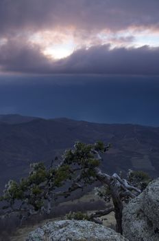 mountain pine in the background is Demerdji in the Crimea