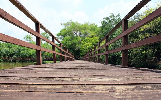 Trail for walking to learn the nature in tropical forest