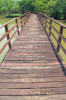 Trail for walking to learn the nature in tropical forest