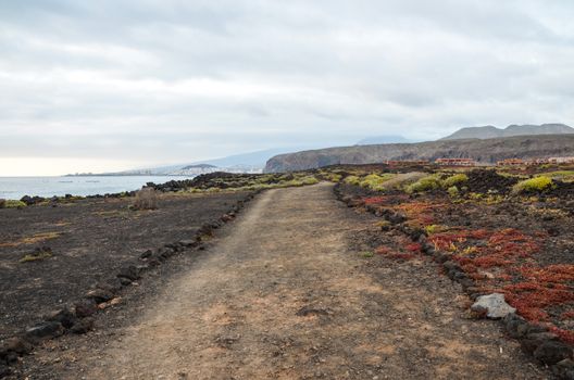 Dirt Road through the Desert in Tenerife Island Spain