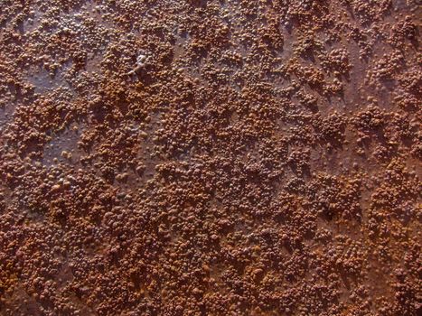 Orange Old and Rusty metal plate Texture