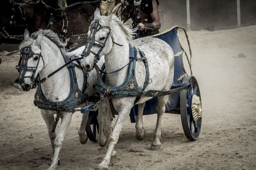 Epic, Roman chariot in a fight of gladiators, bloody circus