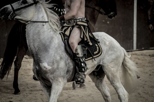 White horse, Roman chariot in a fight of gladiators, bloody circus