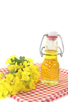 fresh Rapeseed oil on a light background