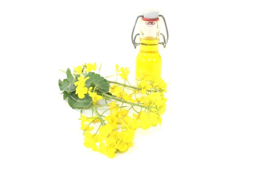 Rapeseed oil with rapeseed on a light background