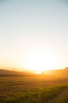 A field getting harvested by a agricultural machine.