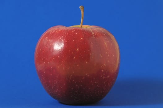 One Juicy Hot Red Apple over a Colored Background