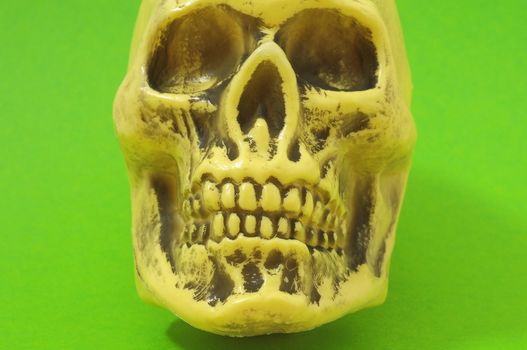 An Ancient Yellow Skull on a Colored Background