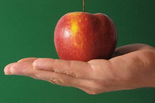 An Apple the Hand on a Colored Background