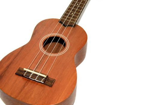 The ukulele isolation of a white background