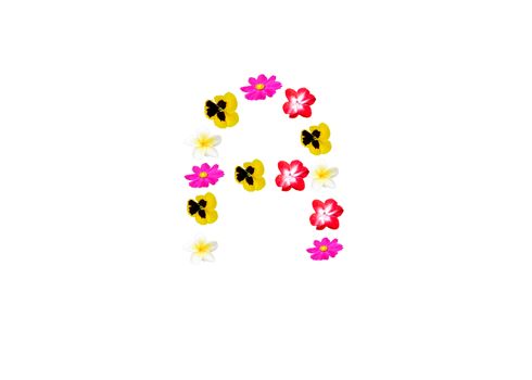 Letters made ������of flowers on a white background.