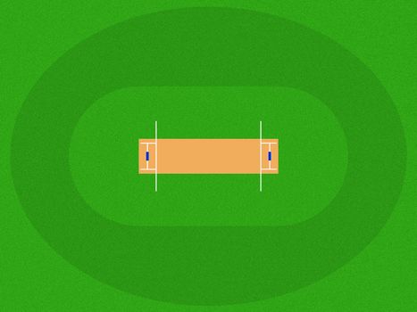 the image model of the cricket field