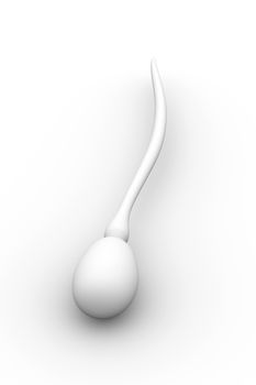 Sperm Cell. 3D rendered Illustration. Isolated on white.
