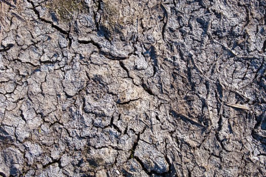 Dried-up and cracked mud surface