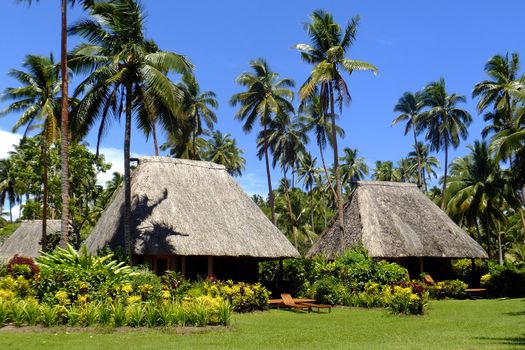 Traditional bure with thatched roof, Vanua Levu island, Fiji, South Pacific