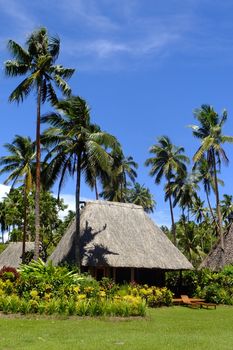 Traditional bure with thatched roof, Vanua Levu island, Fiji, South Pacific