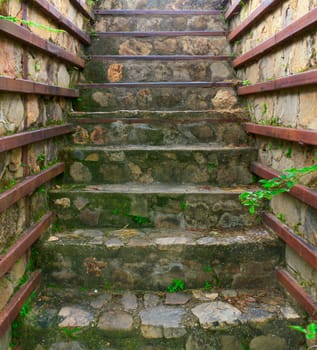 Way up old stair in home garden.