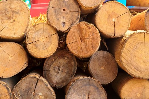 Stack of cut timber logs against.