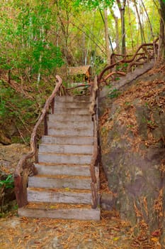 Way up old stair in home garden.