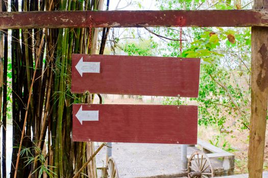 Blank signs the way in the park.