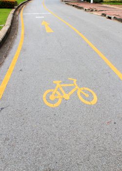 Bicycle road sign painted on the pavement.