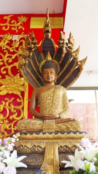 Buddha statue at Wat Pho in bangkok, thailand.