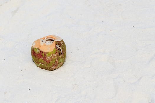 A coconut on white sand floor beautiful.