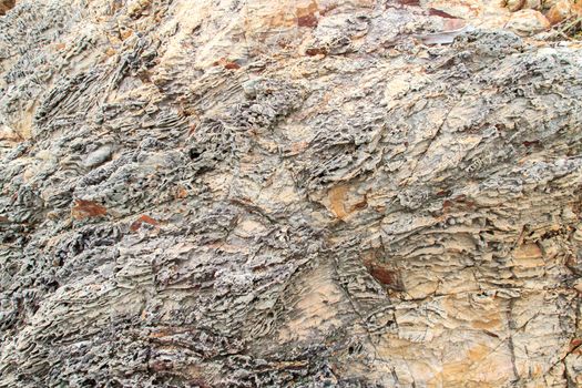 An texture from a close up of coral rock.