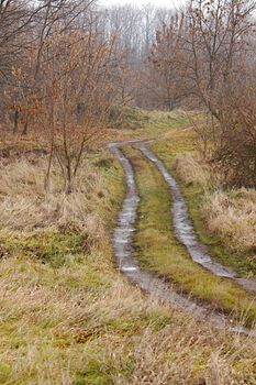 Dirtroad crossing the countryside