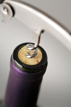 Cork of a wine bottle and a waiter's Bow-style corkscrew. Very short depth-of-field.
