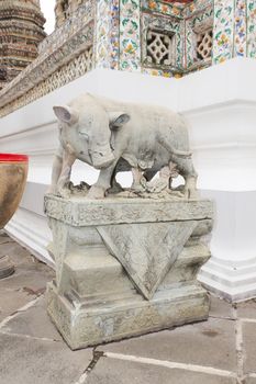 Pig Statue at Wat Arun Wararam in bangkok, thailand.
