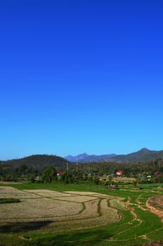 Field after Harvest in Northern Country of Thailand