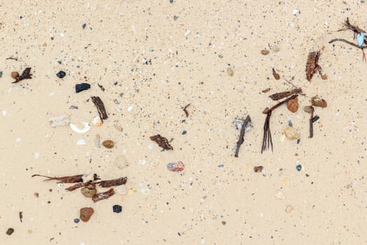 Sea shells with sand closeup as texture.