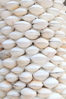 The handicrafts produced by the seashell background.