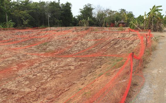 The dried shrimp farming at Chachoengsao province, thailand.