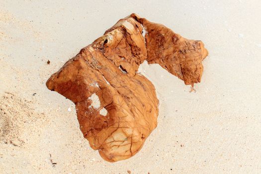 Strange rock formations embedded in the sand.